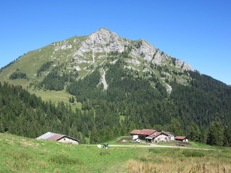 Malga Clef, ai piedi del Monte Lavanech (2228mt)